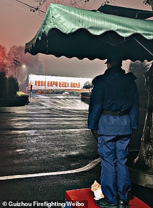 They have kept the pet since 2017