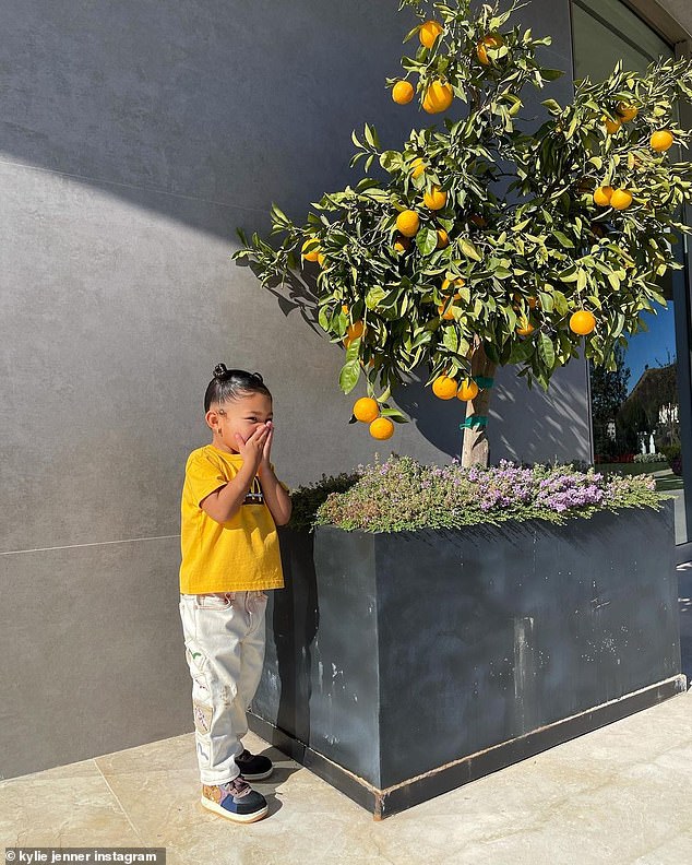 Beautiful life: Jenner gushed over Stormi as she wrote, 