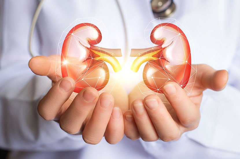 Clínica de urología en Cantabria - Urólogos en Cantabria