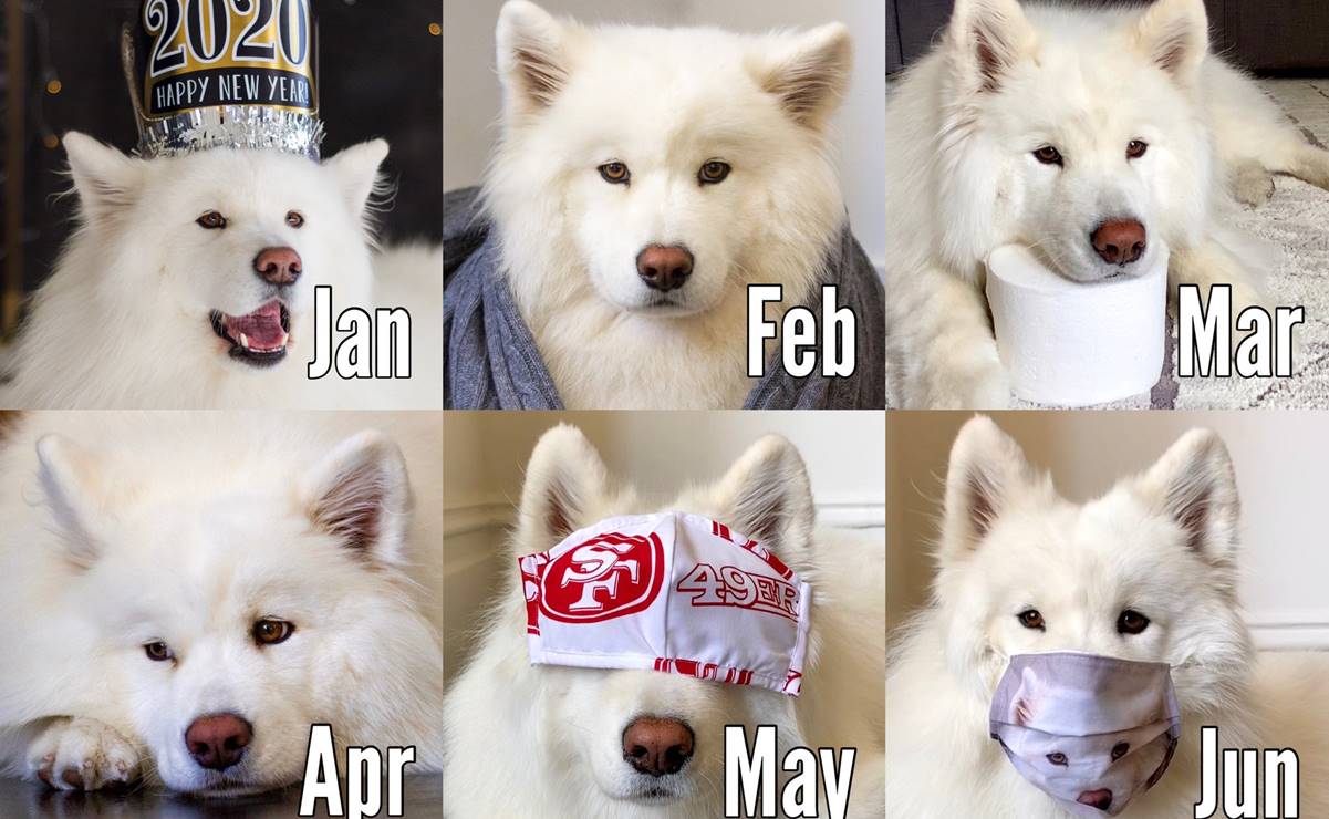 El #2020Challenge, el reto viral que recuerda lo complicado que ha sido el año