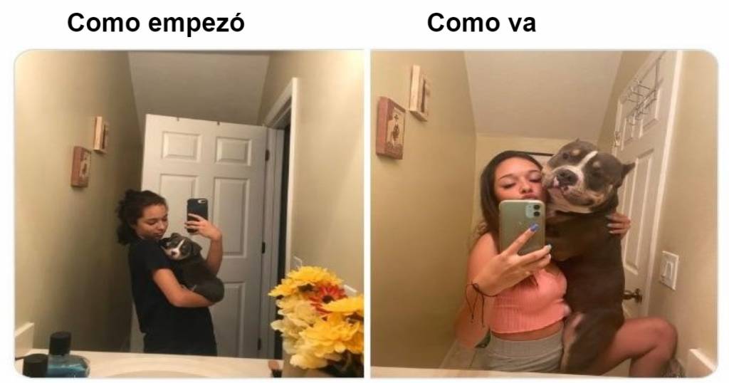 Las fotos más lindas de perros de 