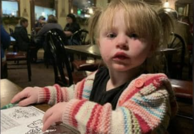 Boy, 7, climbs into his burning family home through a window to save his  baby sister as he 