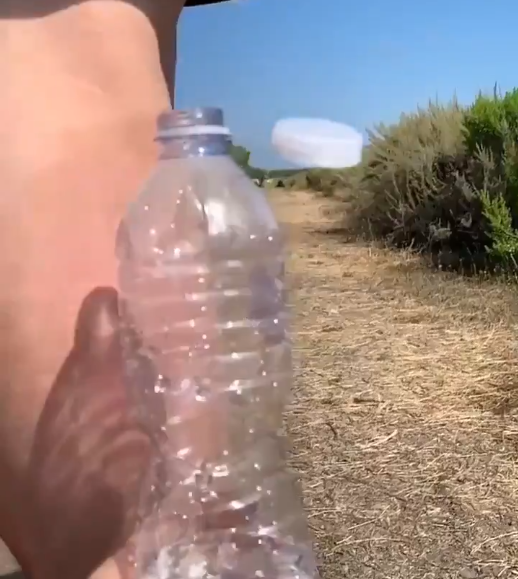 Steve-O-penis