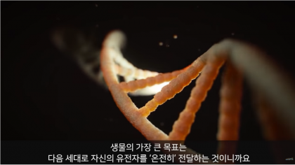 번식이 인간(생물)의 기본 욕구라는데 - 뽐뿌:자유게시판