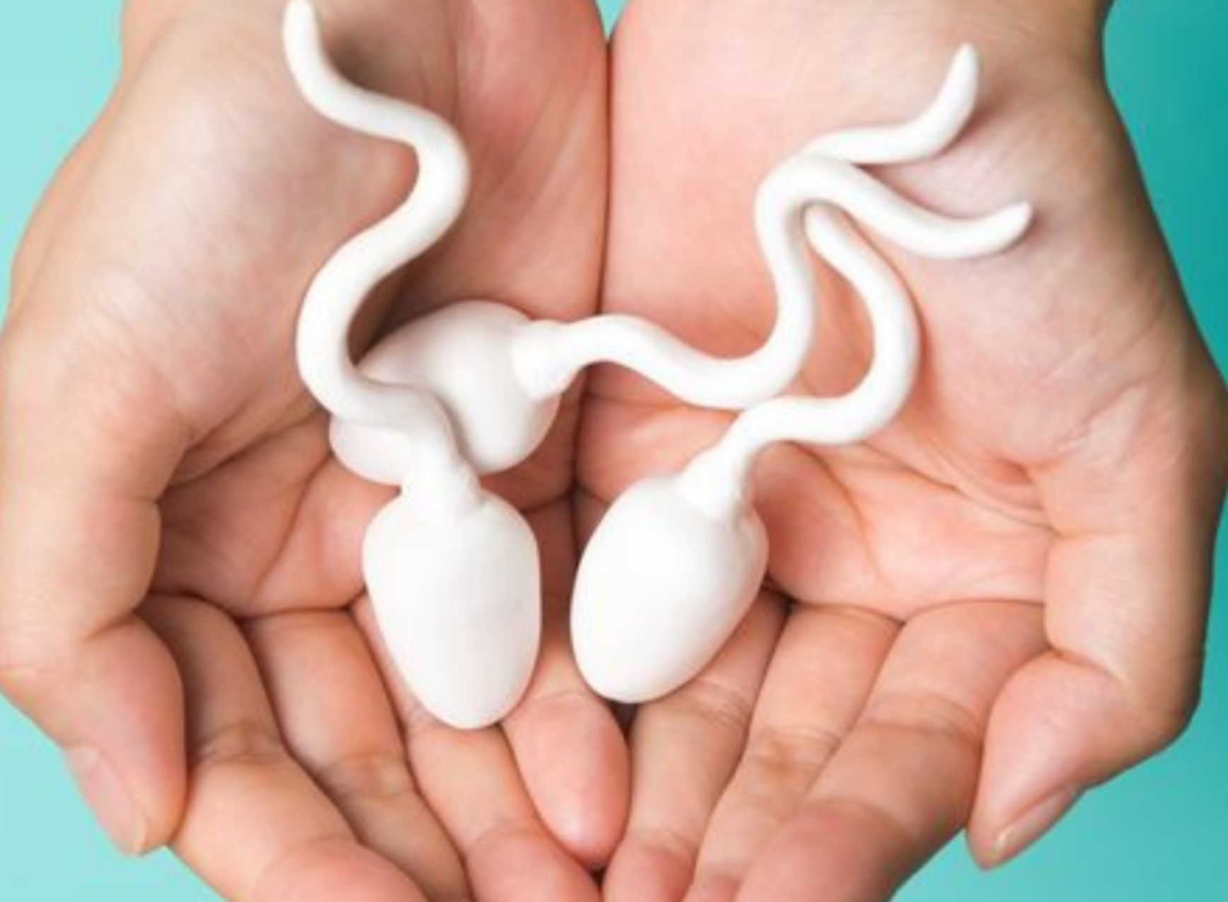 精液量伸びる方法の妻に愛される秘訣