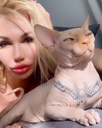 Una influencer le hace un tatuaje a su gato en el pecho pensando que sería  elogiada en las redes - Zoorprendente