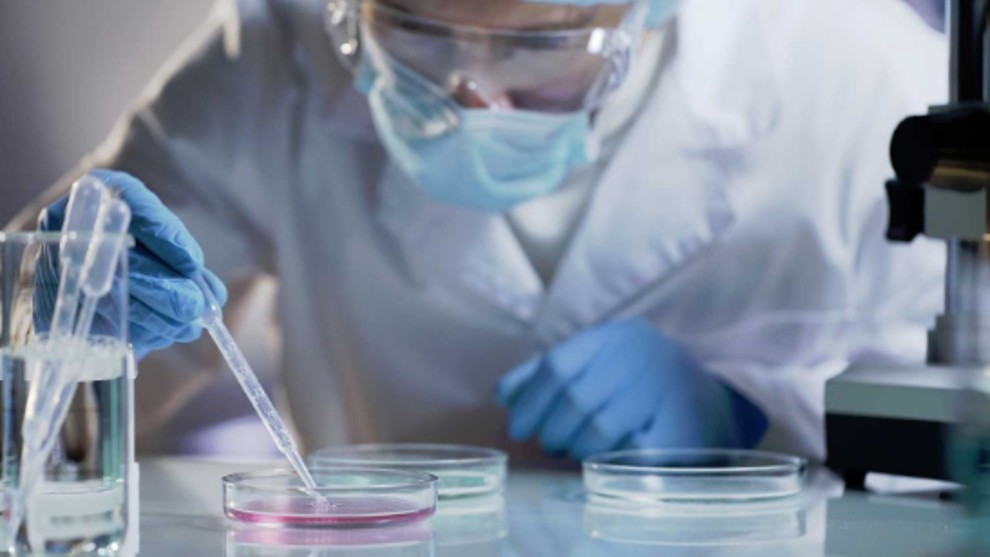 La mutación E484 del coronavirus podría ofrecer mayor resistencia a las  vacunas | Marca.com