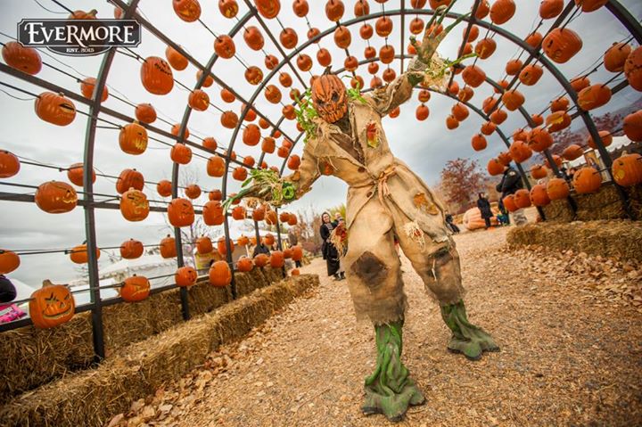 Resultado de imagen de parque diversiones evermore