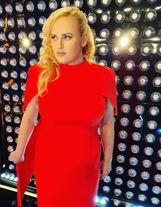 Rebel Wilson Stuns In Navy Blue Dress As She Shows Off 