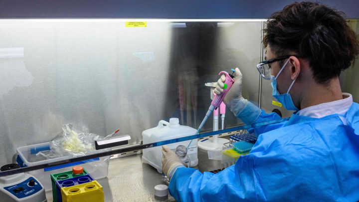 covid-19, salud, enfermedades, ensayo clínico, anticuerpo