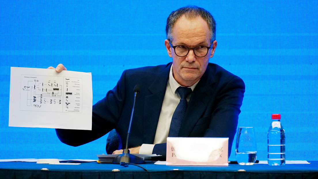 Resultado de imagen de OMS en Wuhan afirma que el coronavirus tiene un origen zoonótico