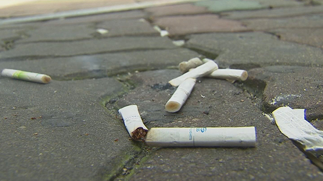 담배꽁초 이미지 검색결과