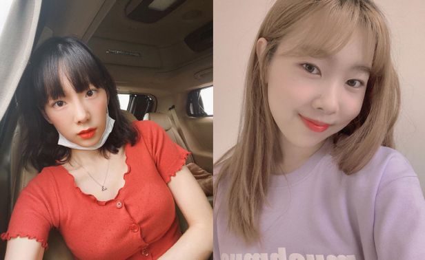 하연 이미지 검색결과