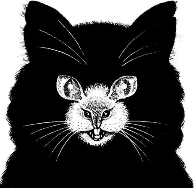 scary illusions