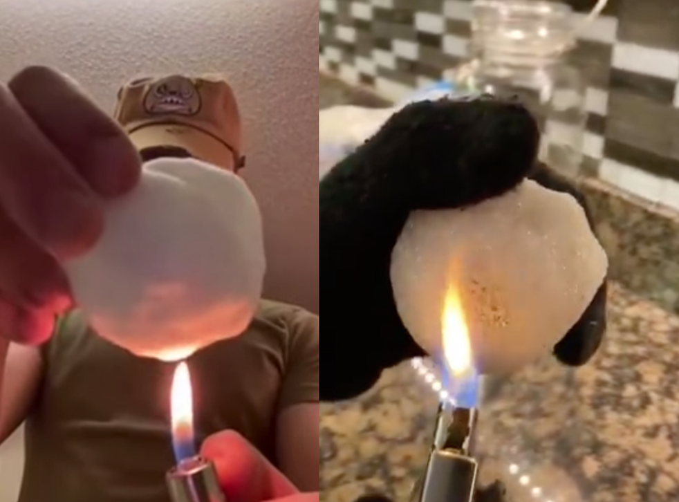 Texas weather: Conspiracy theorists claim snow is fake | indy100