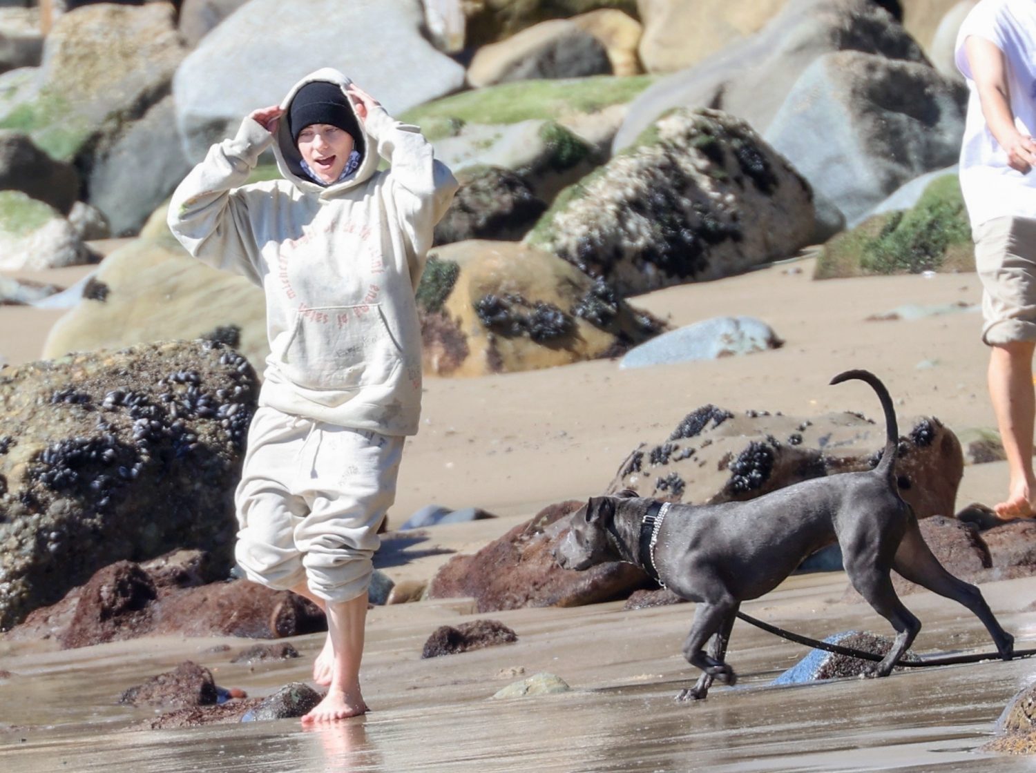 Billie Eilish se relaja tras pequeña victoria contra un acosador - guacamouly.com