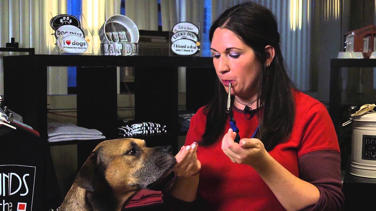 what does a dog whistle do