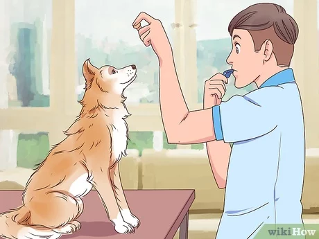 what does a dog whistle do