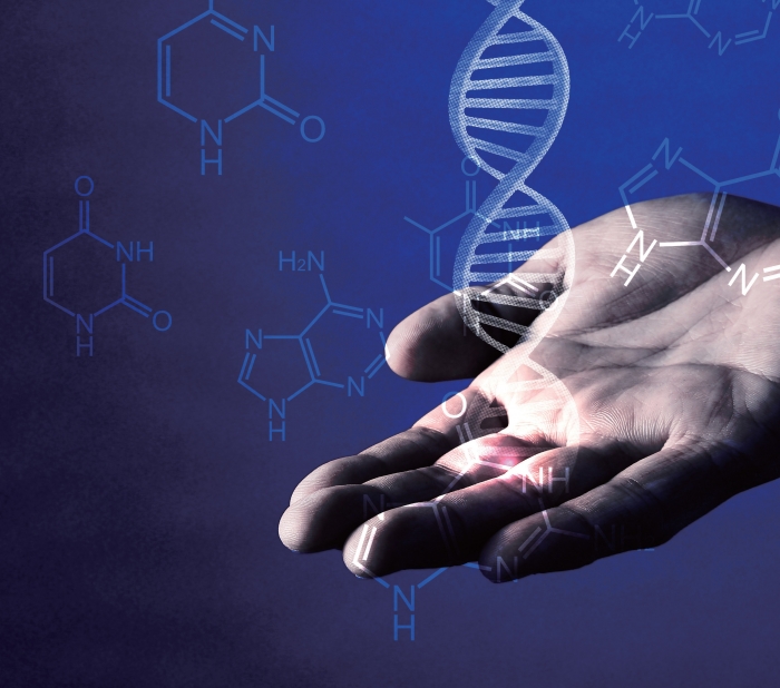 넥스트이코노미 모바일 사이트, 유전자 검사, 이제 집에서 한다.