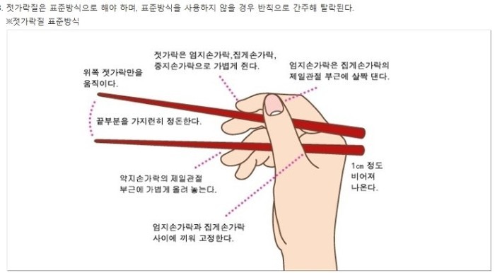 팀장님이 제 젓가락질보고 자꾸 뭐라고해서 찾아본 젓가락질 표준방식.jpg : 클리앙