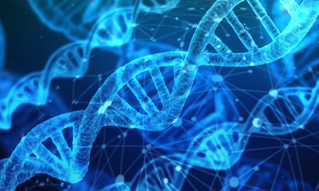 MEDI:GATE NEWS : 유전자 정보 공유시장, 개인 데이터 생태계 어떻게 바꿀까