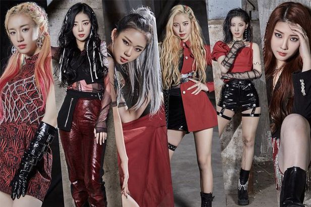 RBW 신예 퍼플키스, 오늘(26일) 프리 데뷔곡 발매..걸스 파워 예고 - 조선일보