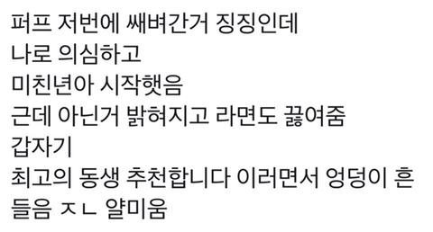 언니 없는 사람들아 진실을 알려줄게.twt | 인스티즈