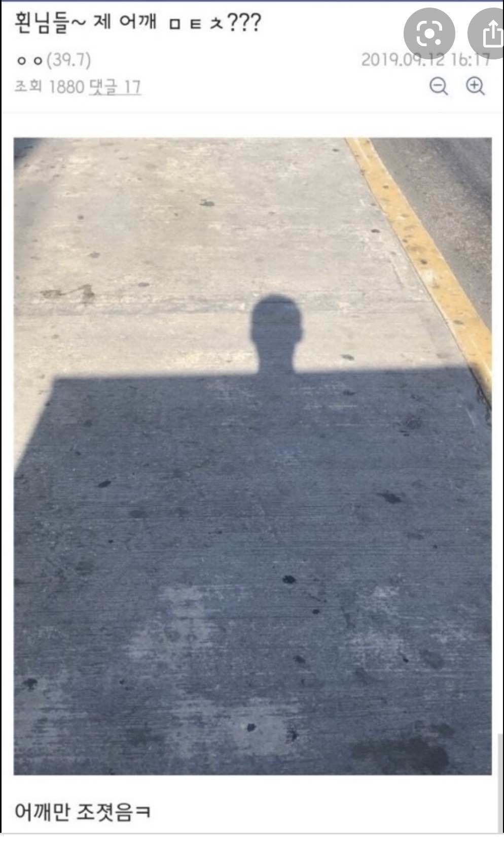 이 정도면 어깨 넓은 편이야?