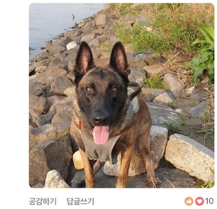 이 이미지는 대체 속성이 비어있습니다. 그 파일 이름은 20210504162112.png입니다
