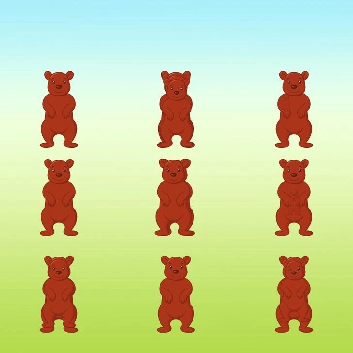 how many bears