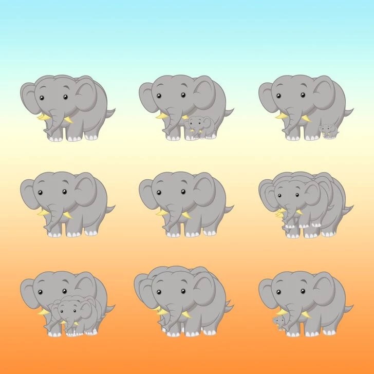 How Many Elephants Do You See? 9 In 10 People Can’t Find Them All