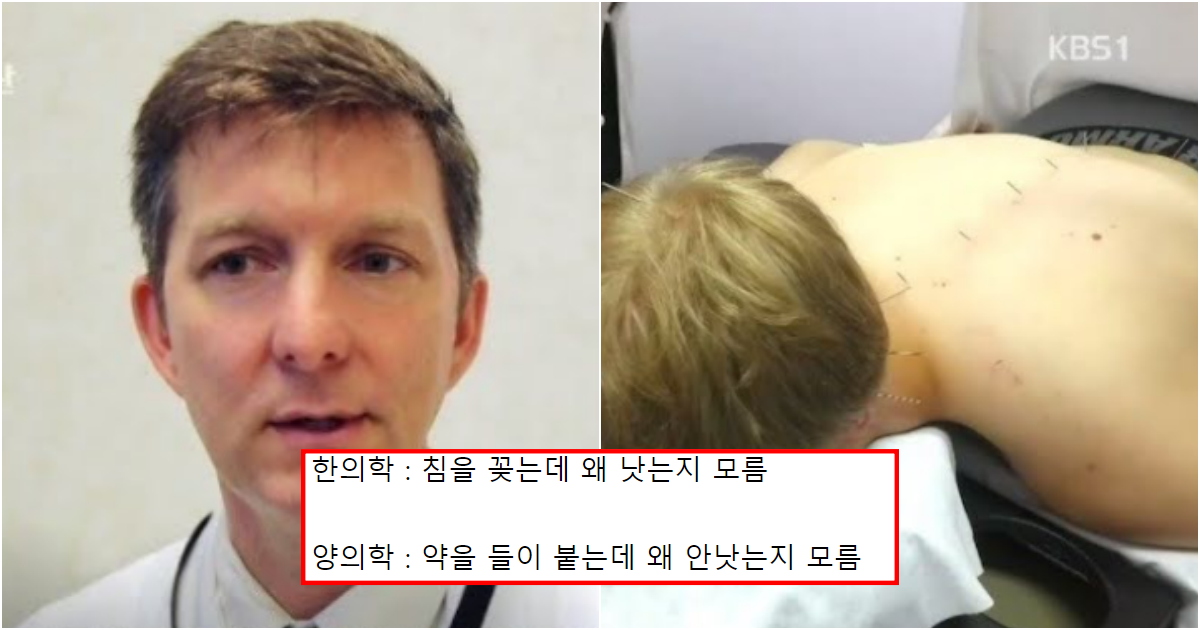 collage 476.png - 한국에선 이제 돌팔이 취급 받기 시작하는 한의학을 본 미국 의사들 반응