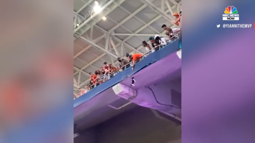 Watch-Miami-Fans-Using-American-Flag-To-Catch-Falling-Cat-at-Hard-Rock-Stadium-0-18-screenshot