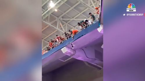 Watch-Miami-Fans-Using-American-Flag-To-Catch-Falling-Cat-at-Hard-Rock-Stadium-0-20-screenshot