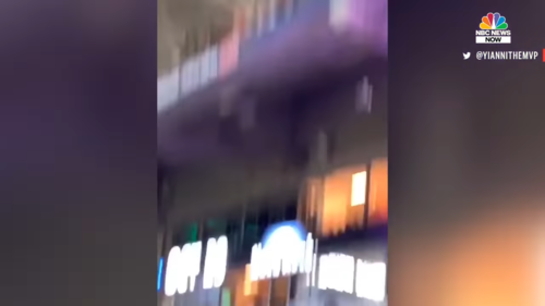 Watch-Miami-Fans-Using-American-Flag-To-Catch-Falling-Cat-at-Hard-Rock-Stadium-0-22-screenshot