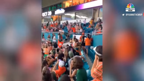Watch-Miami-Fans-Using-American-Flag-To-Catch-Falling-Cat-at-Hard-Rock-Stadium-0-23-screenshot