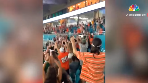 Watch-Miami-Fans-Using-American-Flag-To-Catch-Falling-Cat-at-Hard-Rock-Stadium-0-28-screenshot
