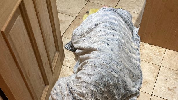 Lilian Briggs, pictured, lay on the floor for nearly eight hours waiting for an ambulance