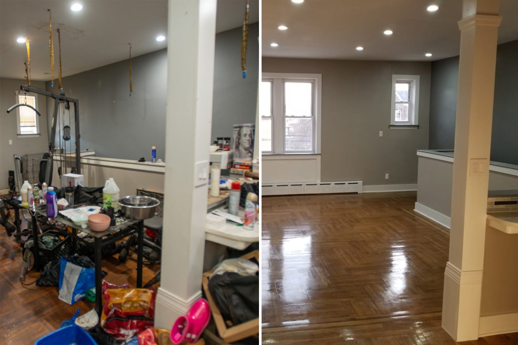 brooklyn landlord dogs