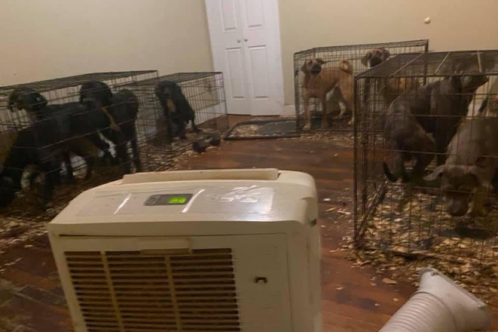 Kennisha Gilbert noticed her tenants