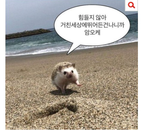 Screenshot-2021-10-13-at-12-14-74