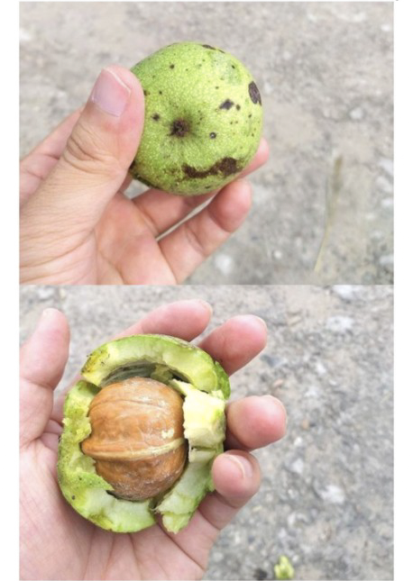 Screenshot-2021-10-14-at-16-58-06