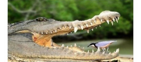 Screenshot-2021-10-14-at-16-58-08