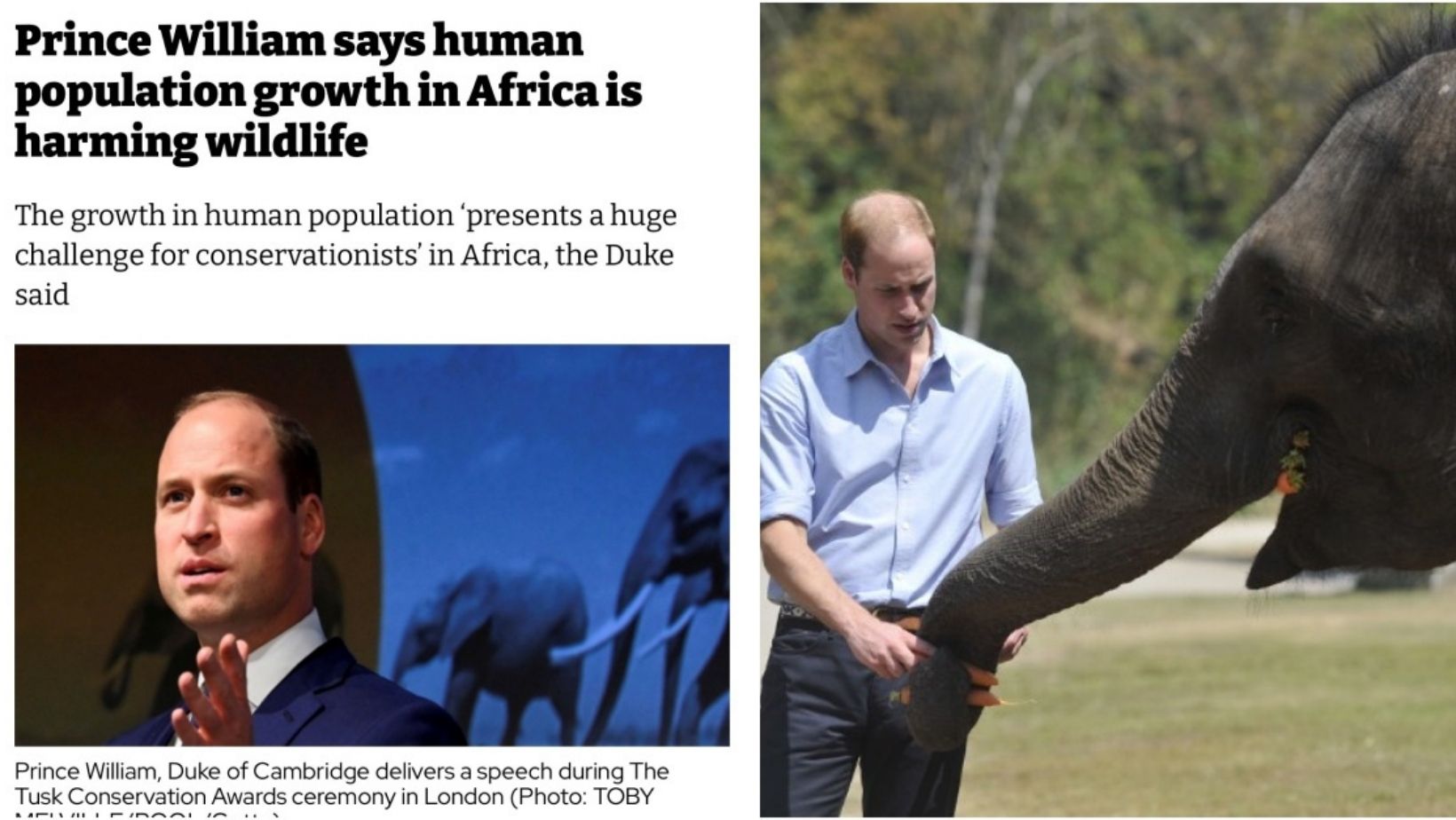 Prince William Slammed Online And Accused Of RACISM Over His Recent ...