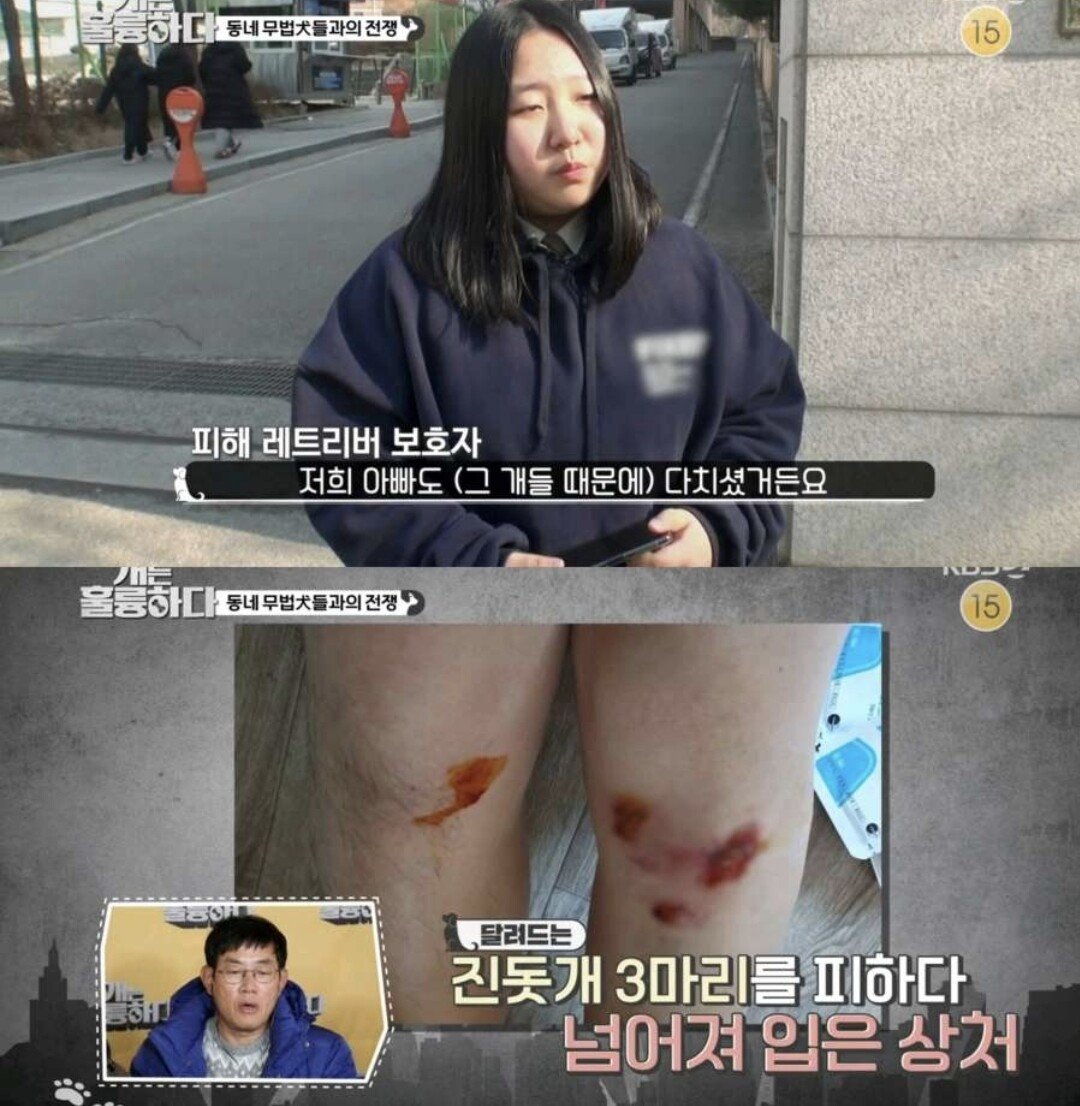 Screenshot_20211211-180908.jpg (스압) 깡패수준 3마리 개들을 참교육하는 강형욱 ㄷㄷㄷ