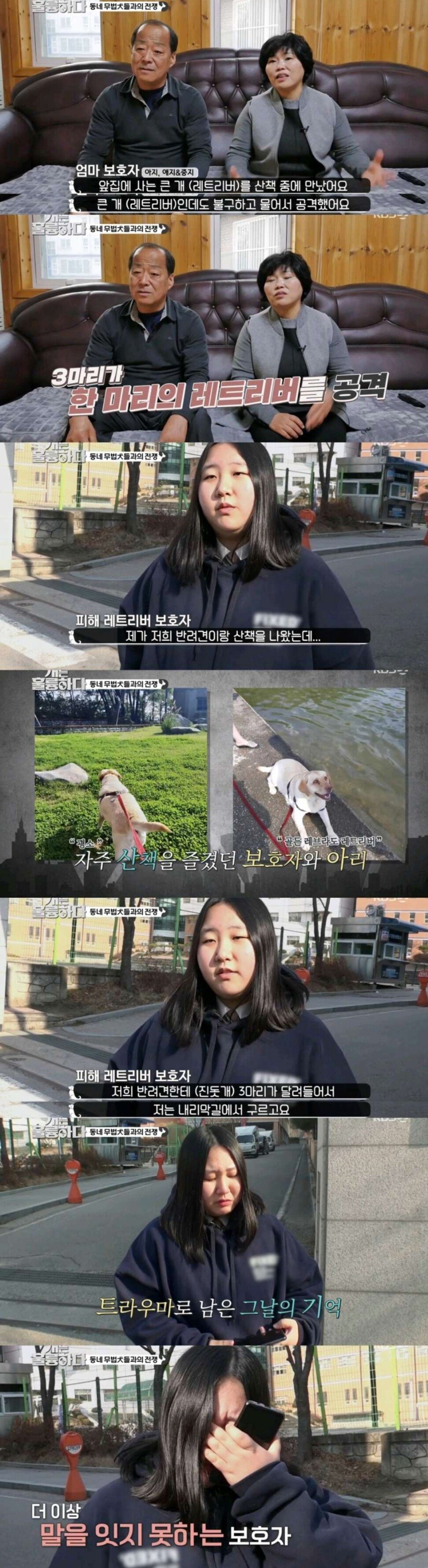 Screenshot_20211211-180856.jpg (스압) 깡패수준 3마리 개들을 참교육하는 강형욱 ㄷㄷㄷ