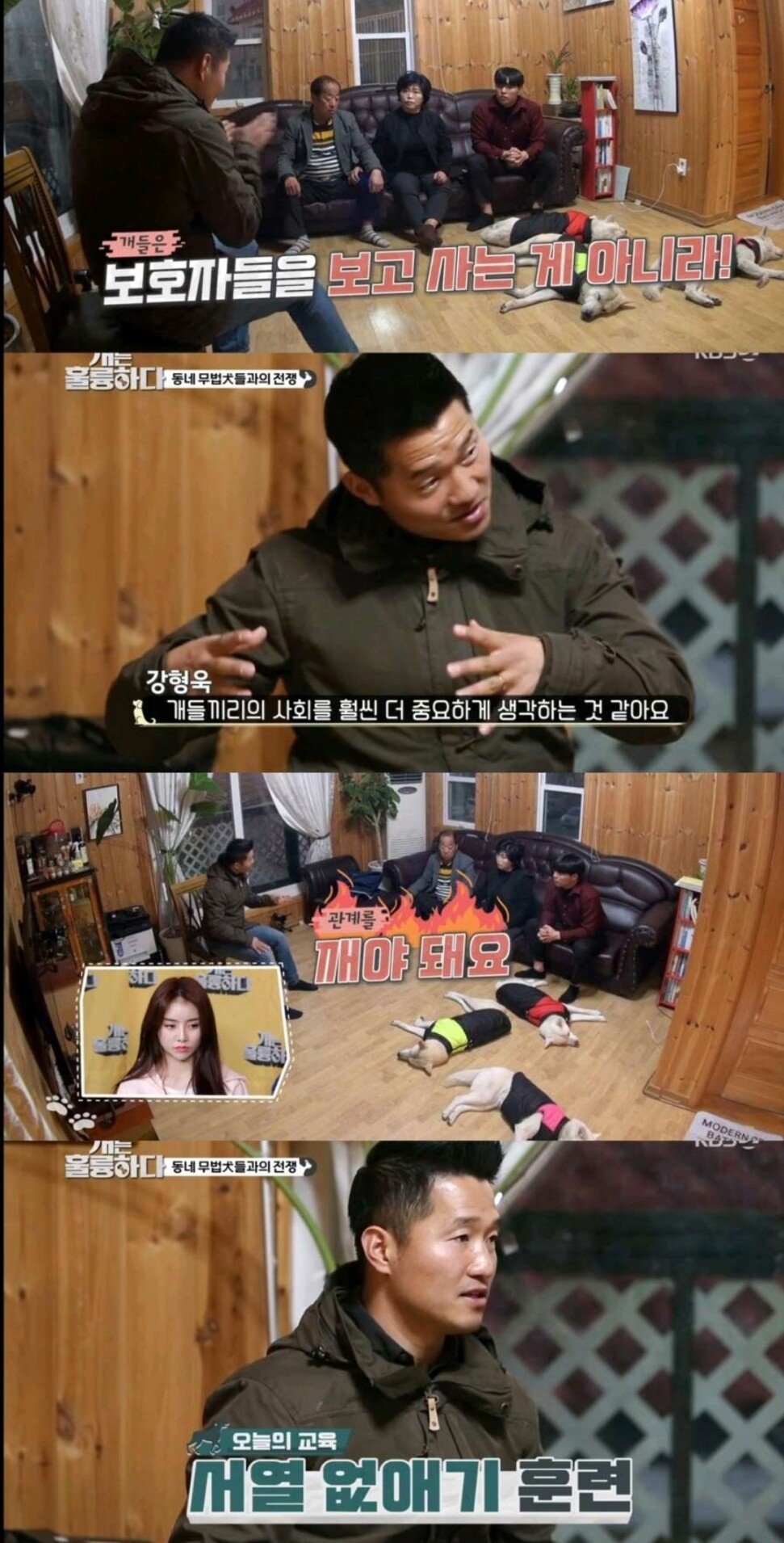 Screenshot_20211211-181103.jpg (스압) 깡패수준 3마리 개들을 참교육하는 강형욱 ㄷㄷㄷ