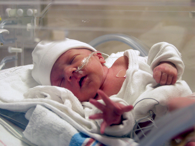 Preemie Baby Declared Dead By Doctors Was Found To Be ALIVE By A ...