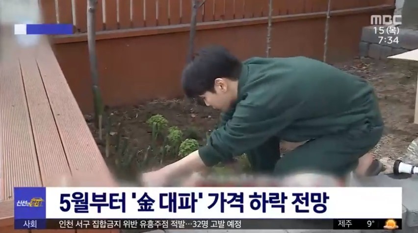 샤이니 키