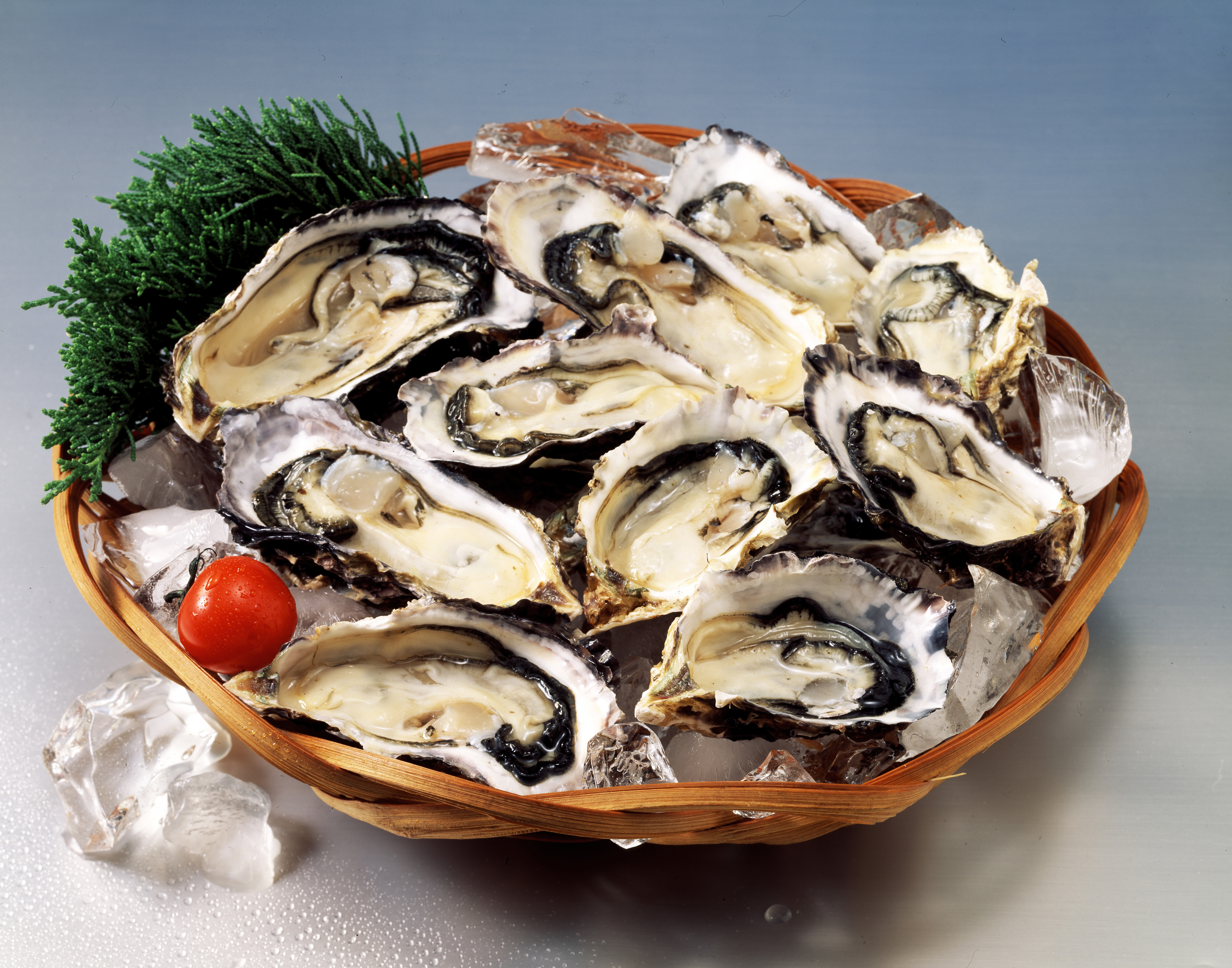 석화(이익) 이미지